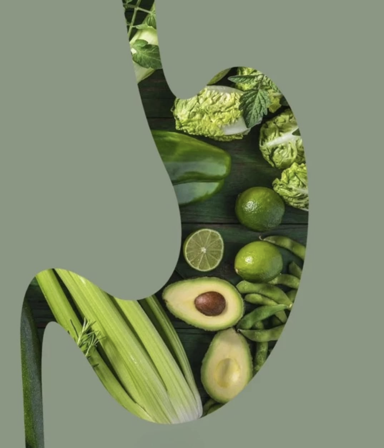 Composition graphique de légumes verts avec formes organiques