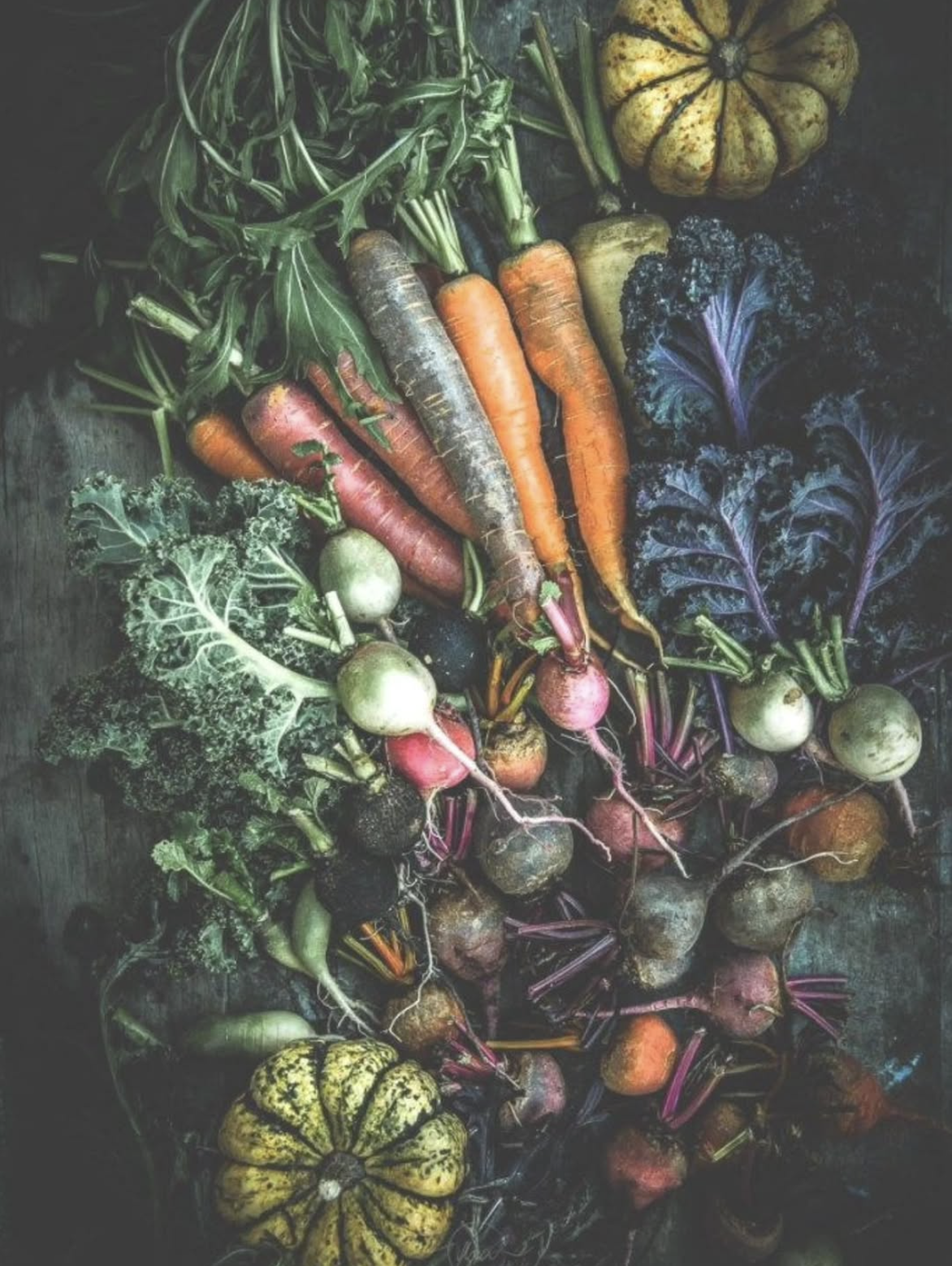 Composition de légumes racines colorés sur fond sombre